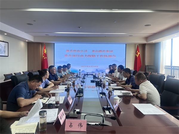 6月18日，歙縣供電公司總經(jīng)理張杰帶隊(duì)赴集團(tuán)就重點(diǎn)項(xiàng)目電力保障工作進(jìn)行座談交流，洪董、潘總、余總、張總，市政、逸寧等單位參加座談。.jpg