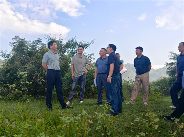 9月15日，王奇勇縣長調研新安江航道綜合整治提升工程，集團洪董、張總陪同調研.jpg