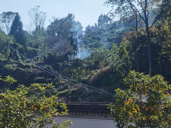1699408151175131.png 圖片1.png
